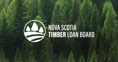 NS Timber Loan Board Logo over a photograph of a vast coniferous forest.